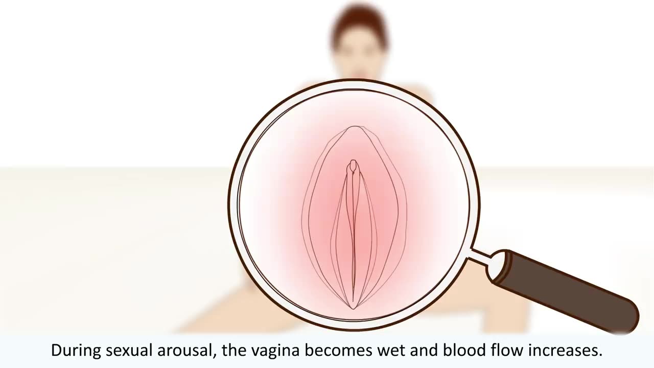 Explanation of female orgasm