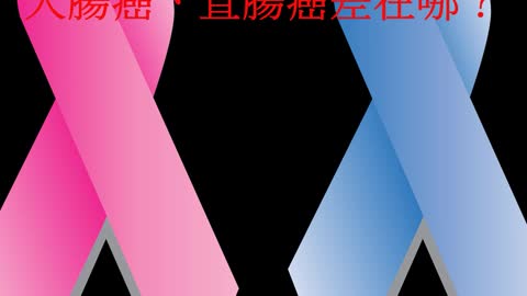 腸癌難發現！ 大腸癌、直腸癌差在哪？