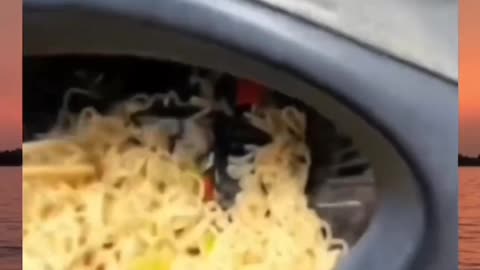 Funny video