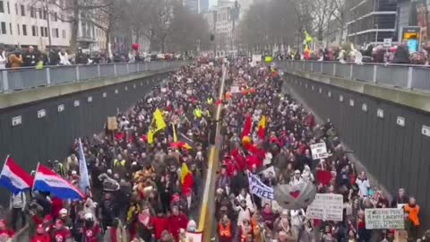 BRUSELAS POR LA LIBERTAD