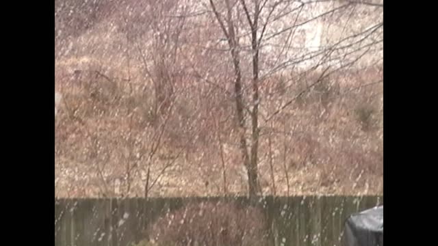 2001 - January 29 - Grandview MO