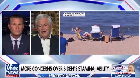 Newt Gingrich reveals who he believes is REALLY running the Biden White House