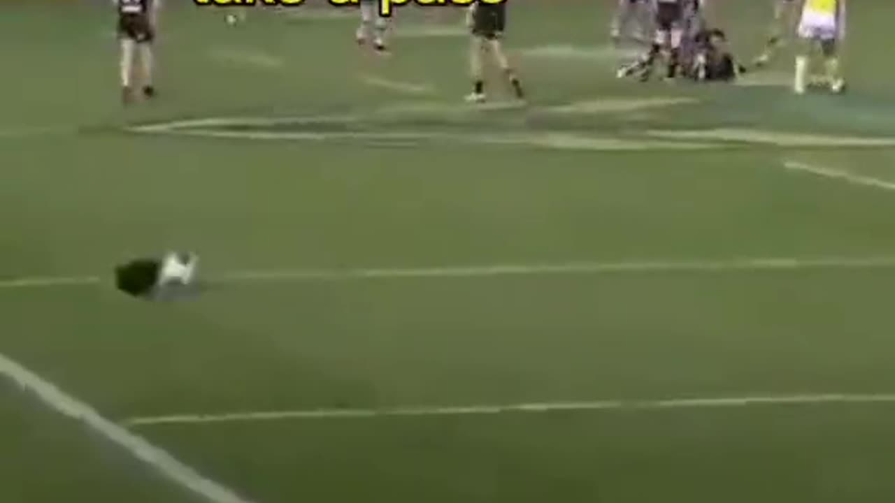 It's my time to play##black cat scores a goal##cat