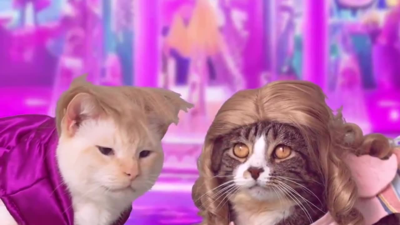 βHeβs just Hen.ππΉ Have you seen the Barbie movie yet?β #catsofinstagram