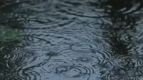 Do you like the sound of rain Maybe it will work better with headphones