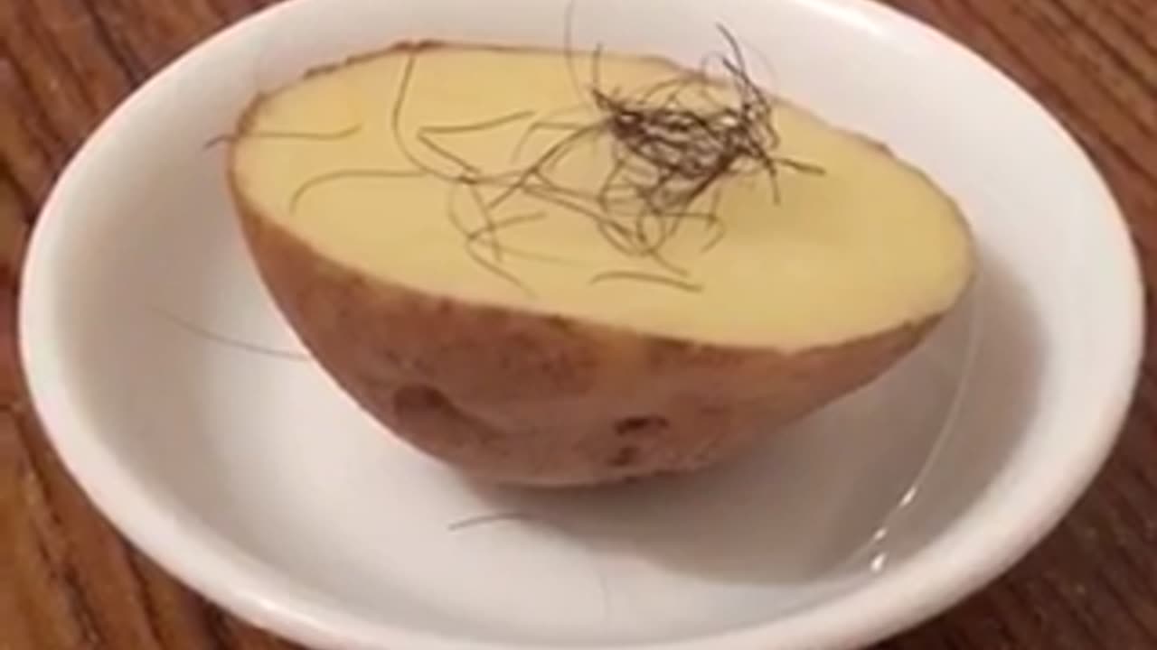Japanese Raw Danshaku Potatoes Recipe Hairy 06042023 🆂🆄🅱🆂🅲🆁🅸🅱🅴 ⚠️Viewer discretion is advised⚠️