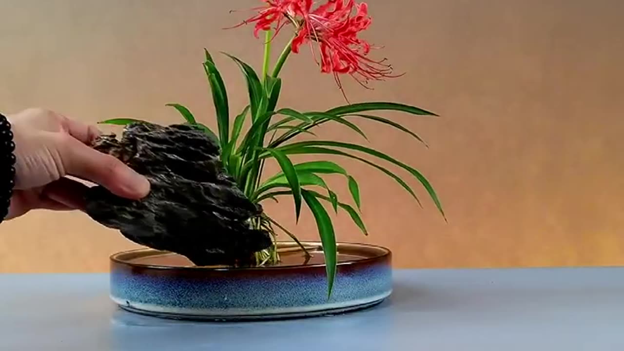 Flower ASMR