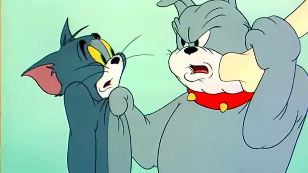 Tom und Jerry auf Deutsch | Tom & Jerry im Vollbildmodus | WB Kids