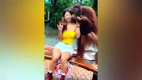 Watch the Funniest Animal Videos..