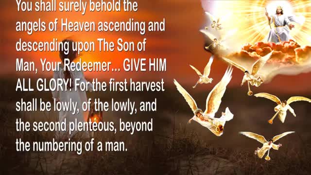 The Light has gone out of the Churches of Men... The Veil remains intact 🎺 Trumpet Call of God