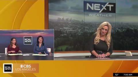 Weather Forecaster Collapses During Broadcast