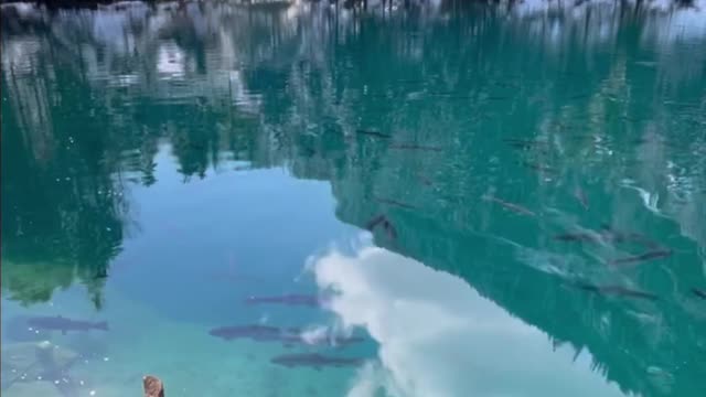 Blue Lake, Switzerland 🇨ðŸ‡ðŸ’™ Blue Lake Alora-Valais Canton