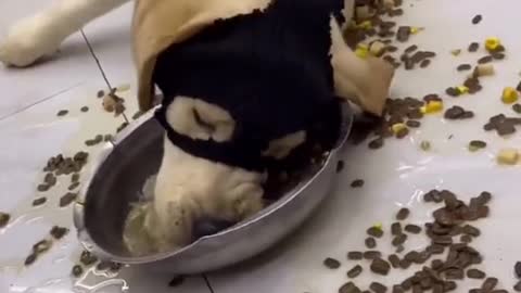 So cute.