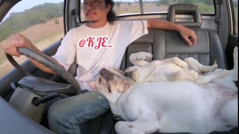 Take me with you Dad