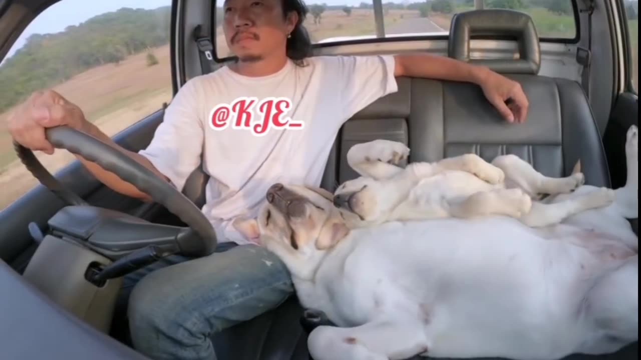 Take me with you Dad