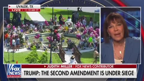 Fox News goes rogue, splits from the NRA and Republican Party and calls for gun control.