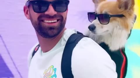 Embrace the size, embrace the chaos 🐶 vs 🐕