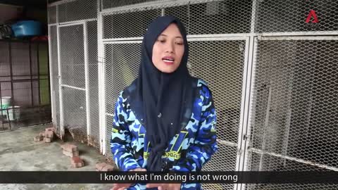 Meet the Malaysian couple fighting social stigma against dogs by rescuing injured animals