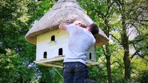 Thatched Dovecot