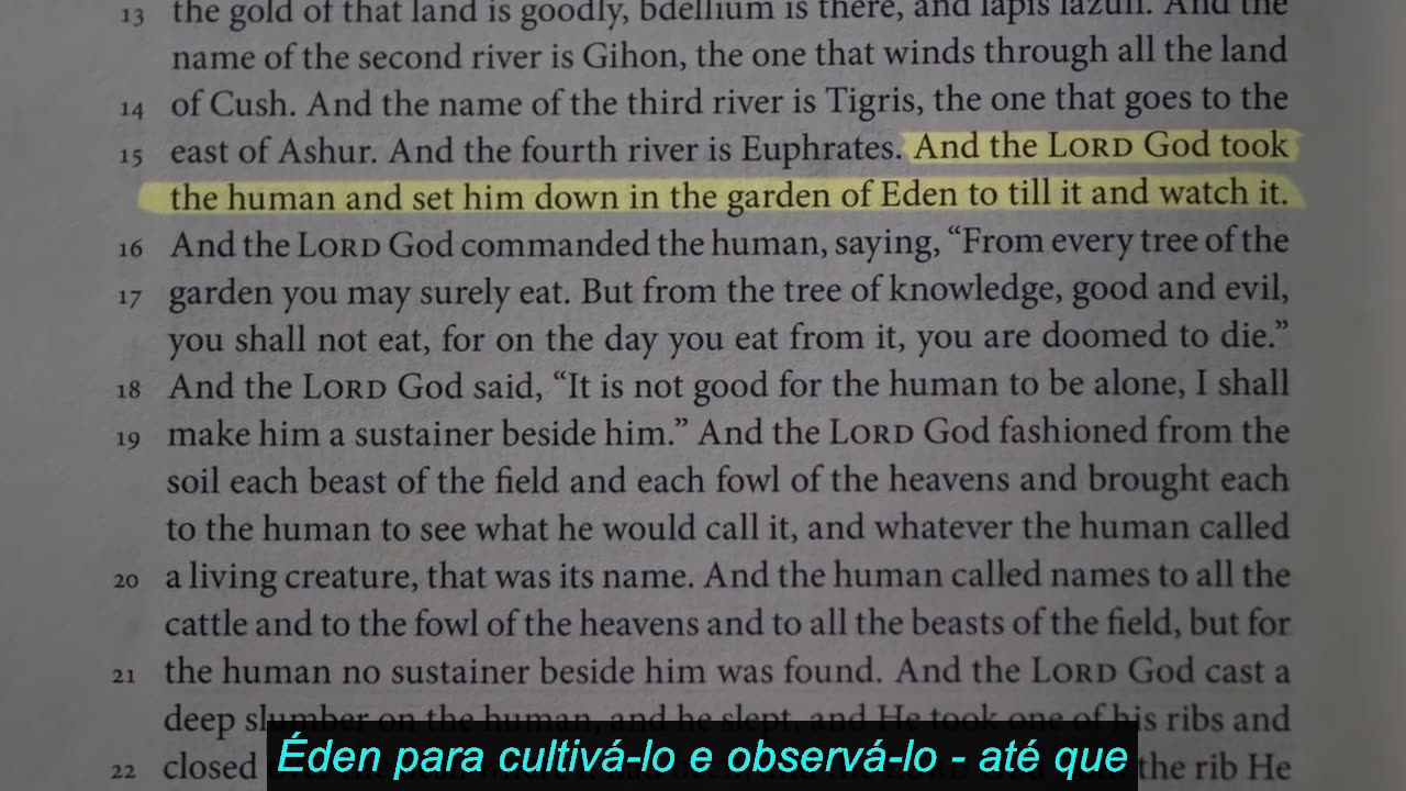 A História Do Gênesis