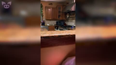 VIEWERS ARE TRIPPING AFTER WATCHING THIS!