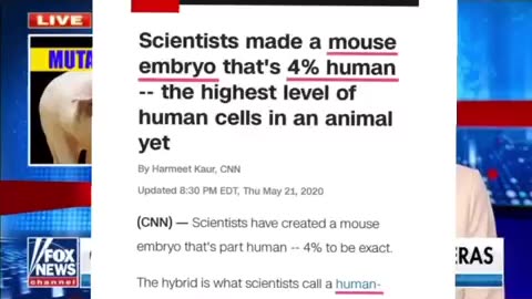 Human Chimeras - What will they do Next