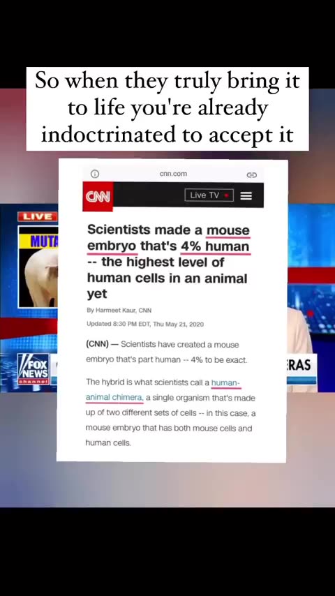 Human Chimeras - What will they do Next