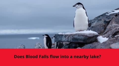 📜 🌟 🚀 Is Blood Falls a Natural Wonder or a Mystery? 📜 🌟 🚀