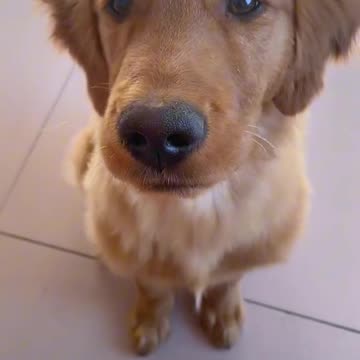 Oh baby said first word and it’s mama as usual