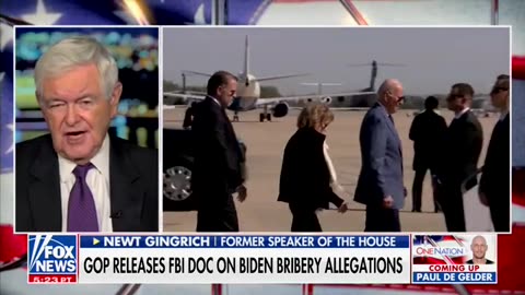 New Gingrich nails it on the Biden Crime Cartel.