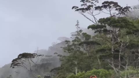 Mt Kiamo - Bukidnon, Philippines