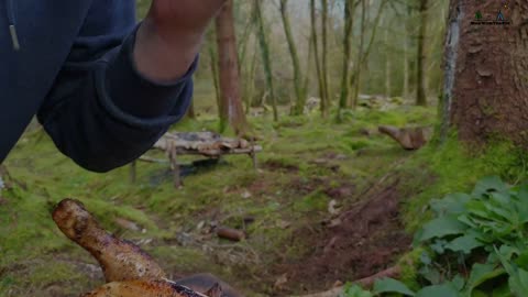 🔥Whole Chicken Prepared in the Forest🔥 Relaxing Cooking