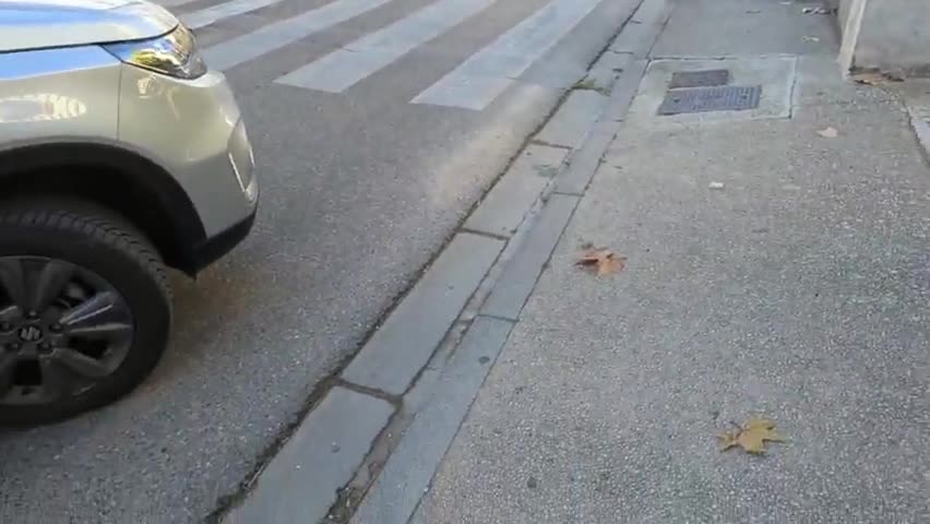 2022-11-25 (3) - Maya rescapée - Twitch Decheterie (clip)