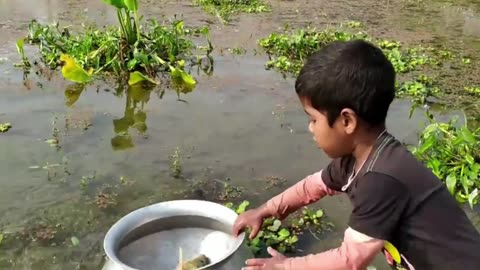 Little Fisherman when catching Fish