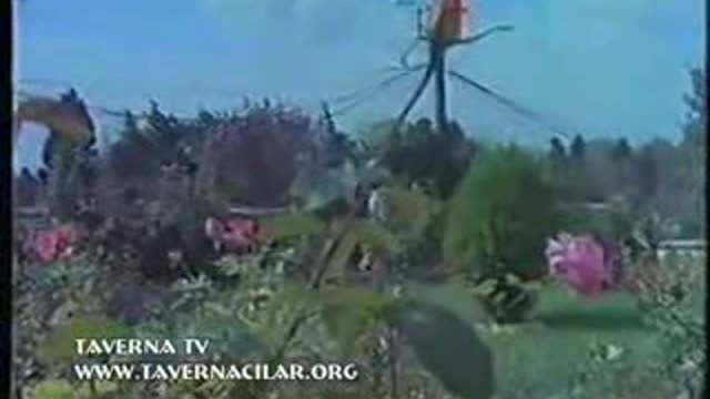 Iyi Düsün Öyle Sev - Emrah