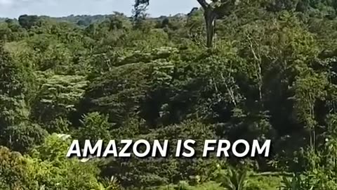 Rogan on the Rain Forrest
