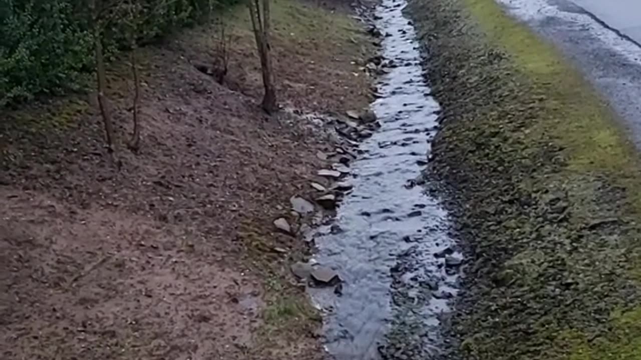 Reality Flow