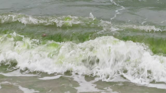 津屋崎海水浴場 2020