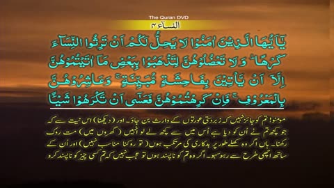 Surah-4 An Nisa Ayat No 15-22 Ruku No 3 Word by word learning Quran in video in 4K