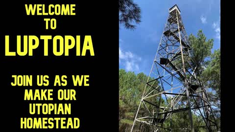 What Is Luptopia