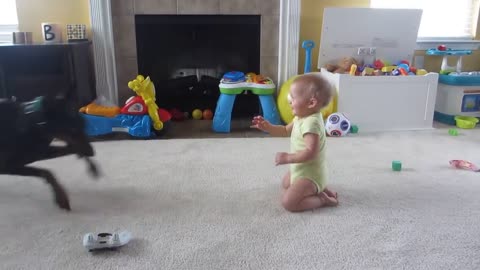 Doberman playing with Baby HAPPY