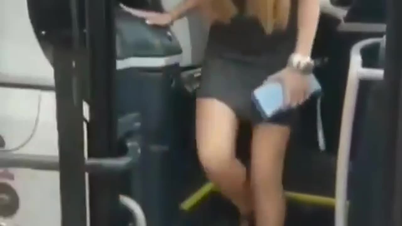 Bus From Paradise 🤣