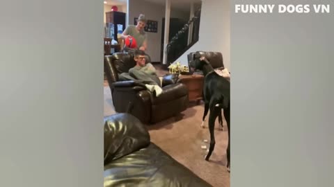 Funniest Animals Video - Funny Dogs And Cats - Try Not To Laugh Animals 2022 (10)