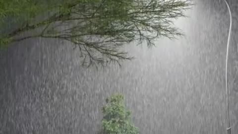 Most beautiful seen i ever seen | Amazing