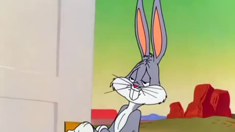 Bunny