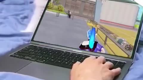 Oh no