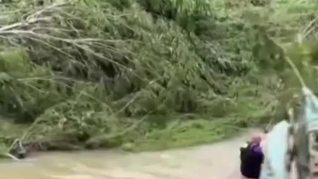 PollyDramatic video showsacrew rescuing a 98-yearold grandmother trapped with her family
