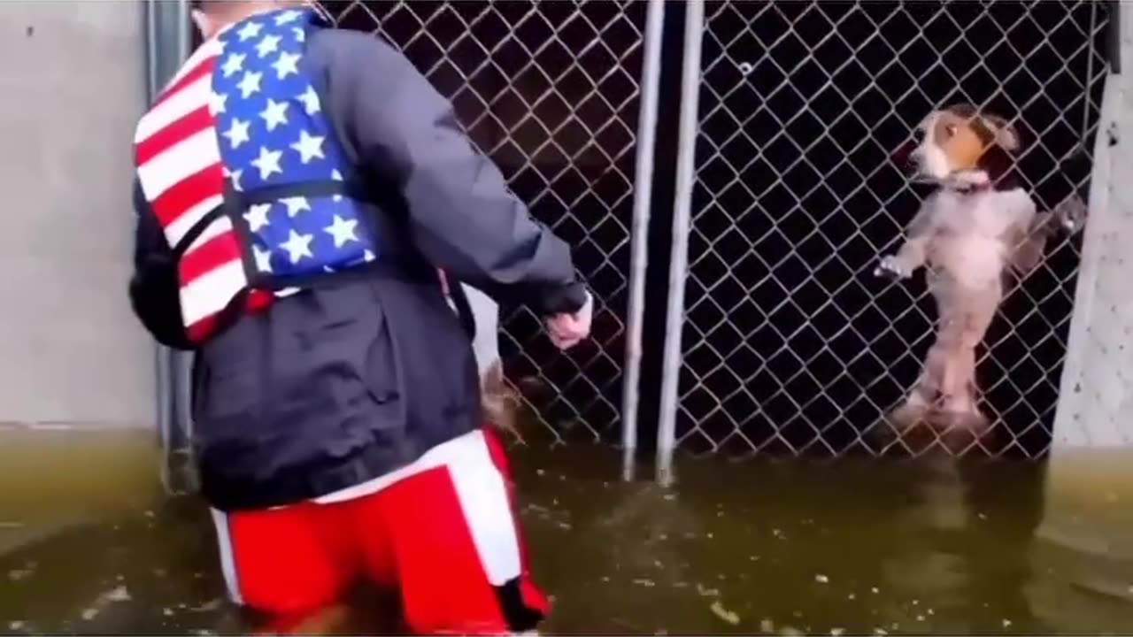 Dog being rescured after being abandoned in a loacked cage