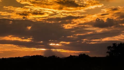 Nature Video 30 Seconds|WhatsApp Status Video|Nature Background Videos