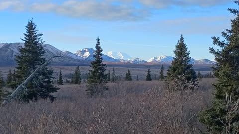 Roadside View Of Denali